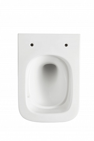 Подвесной унитаз безободковый Terminus Ватикан 490х340 белый Новошахтинск - фото 5