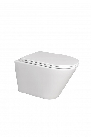 Подвесной унитаз безободковый Terminus Классик 540х365 белый Новошахтинск - фото 5